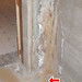 Neil Blumberg Photo 13