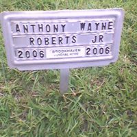 Wayne Roberts Photo 19 Wayne Roberts Photo 19