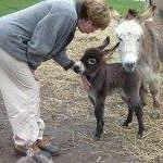 Cheryl Macneill Photo 11