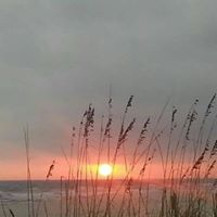 Traci Goodwin Photo 18