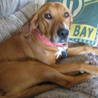 Molly Mcginn Photo 10