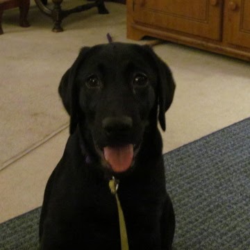 Jill Ramsey Photo 33