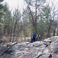 Michelle Chapin Photo 12