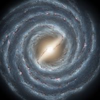 Richard Reedy Photo 19