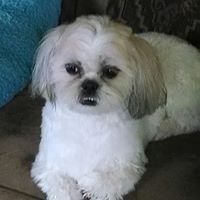 Linda Lowe Photo 23 Linda Lowe Photo 23