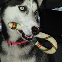 Colleen Macdonald Photo 15