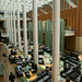 Stephen Kohn Photo 17