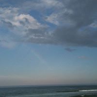 Ann Schofield Photo 15