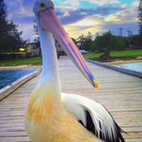 Anne Singleton Photo 36