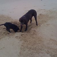 Helen Potts Photo 16