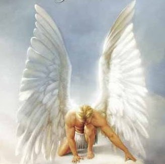 Stephen Busch Photo 40