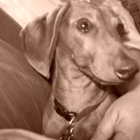 Jeanette Howell Photo 21