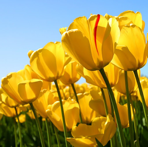 Christina Sandoval Photo 17