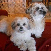 Arlene Medeiros Photo 9