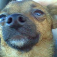 Stacy Morgan Photo 11