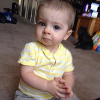 Robert Neff Photo 36 Robert Neff Photo 36