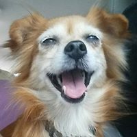 Sue Richards Photo 8 Sue Richards Photo 8