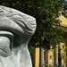 Anne Eng Photo 11
