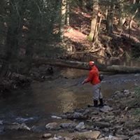 Dave Herman Photo 34 Dave Herman Photo 34