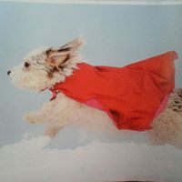 Martha Mclaughlin Photo 21