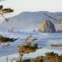 Carl Webb Photo 41