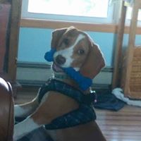 Laurie Schaefer Photo 25 Laurie Schaefer Photo 25