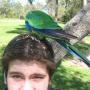 Matthew Ireland Photo 24