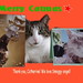 Catherine Calender Photo 6
