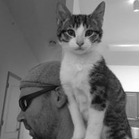 Eric Tucker Photo 49