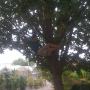 Peter Weber Photo 27