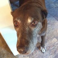 Cathy Horton Photo 24