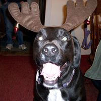 Connie Daly Photo 14