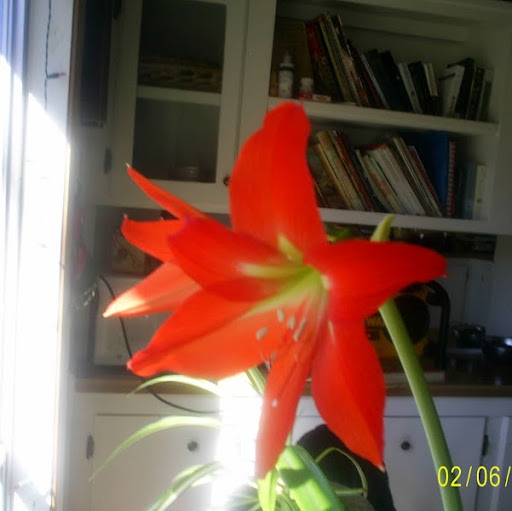 Cathleen Gallagher Photo 9