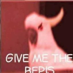 Theresa Hayes Photo 23