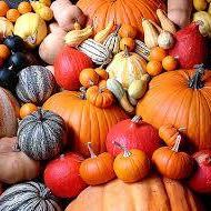 Kathleen Barry Photo 27 Kathleen Barry Photo 27