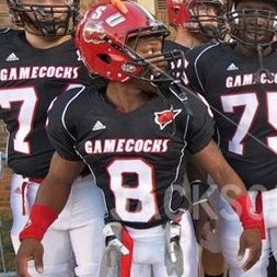 Jamal Young Photo 31