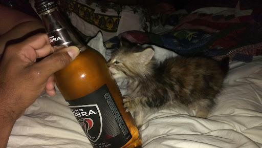 Russell Garcia Photo 9