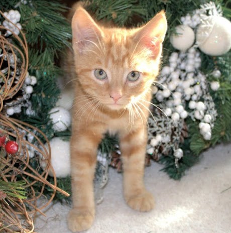 Theresa Hull Photo 15