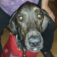 Janice Holloway Photo 28