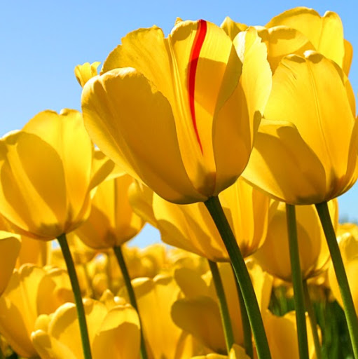 Joanna Christie Photo 25