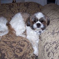 Brian Parson Photo 7