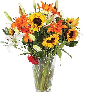 Kumar Talwar Photo 10