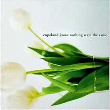 Christine Ivy Photo 18