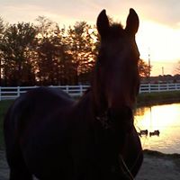 Jill Thacker Photo 7