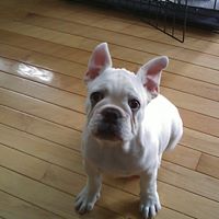 Max Mcdaniel Photo 10