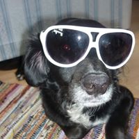 Holly Pritchett Photo 19