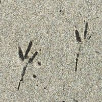 Steven Olson Photo 32 Steven Olson Photo 32