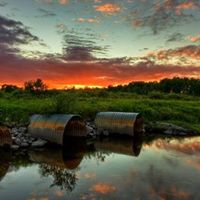 Tommie Moore Photo 12