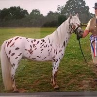 Carol Sheldon Photo 37