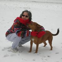 Janice Phillips Photo 37